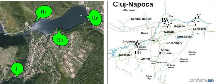 Figure 1. Representation of sampling points on Someşul Rece River, Lake Gilău respectively    
