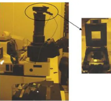 Figure 3.12 – Photograph of the microscope  system used with the sensor holder in detail