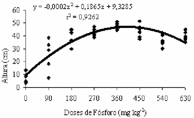 FIGURA 1: Crescimento em altura de mudas de erva-mate em função das doses de P, 10 meses após a  repicagem