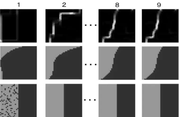 Figure  4  shows  a  preliminary  result  of  density  map,  binarized density map and clustering result with increasing of  the  iteration number