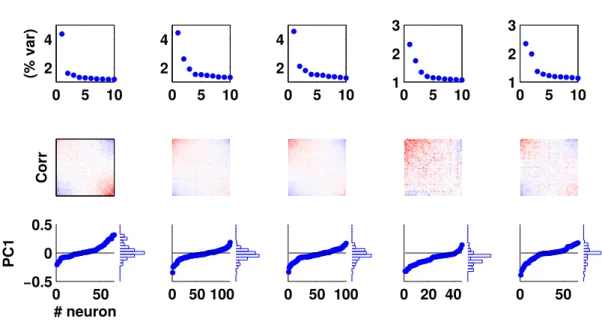 Figure 2.3: Competitive activity across experiments (n = 10). First row: percent- percent-age of explained variance for different experiments (rows)