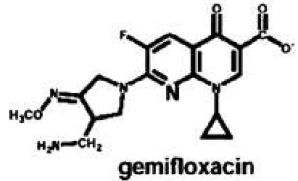 Figure 1.     Structure of gemifloxacin 