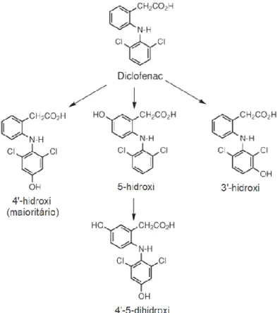 Figura 7 – Metabolismo do diclofenac (adaptado de Borne et al., 2009) (9)