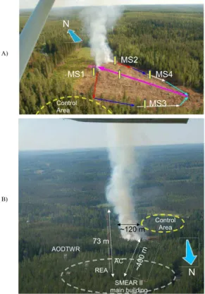 Fig. 1. Aerial photographs of the study site during the flaming phase: (A) from the south, with the progress of the ignition described with the red, blue, white, and light blue arrows, and the average wind direction with the pink arrow