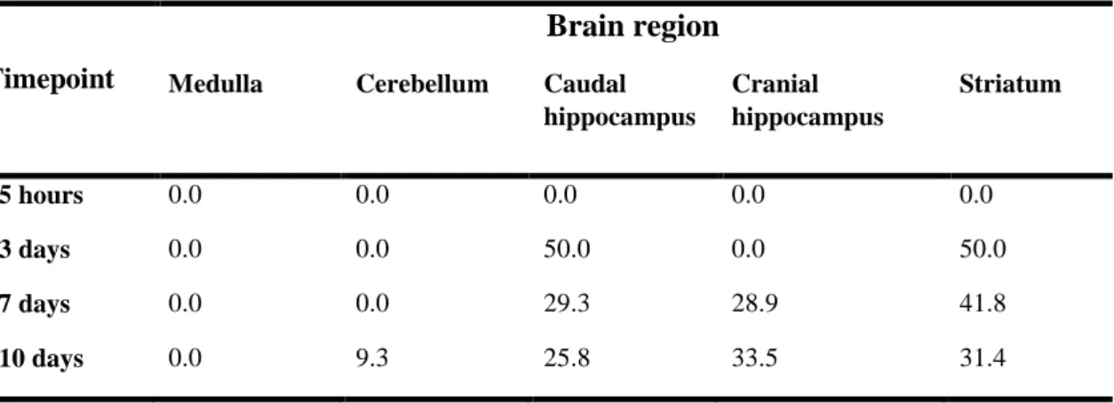 Table 1 Percent distribution of metastases in each brain region of mice injected with 4T1  cells along time