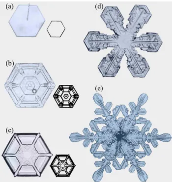 Fig. 1. Tabular snow crystals and their distinguishing features.