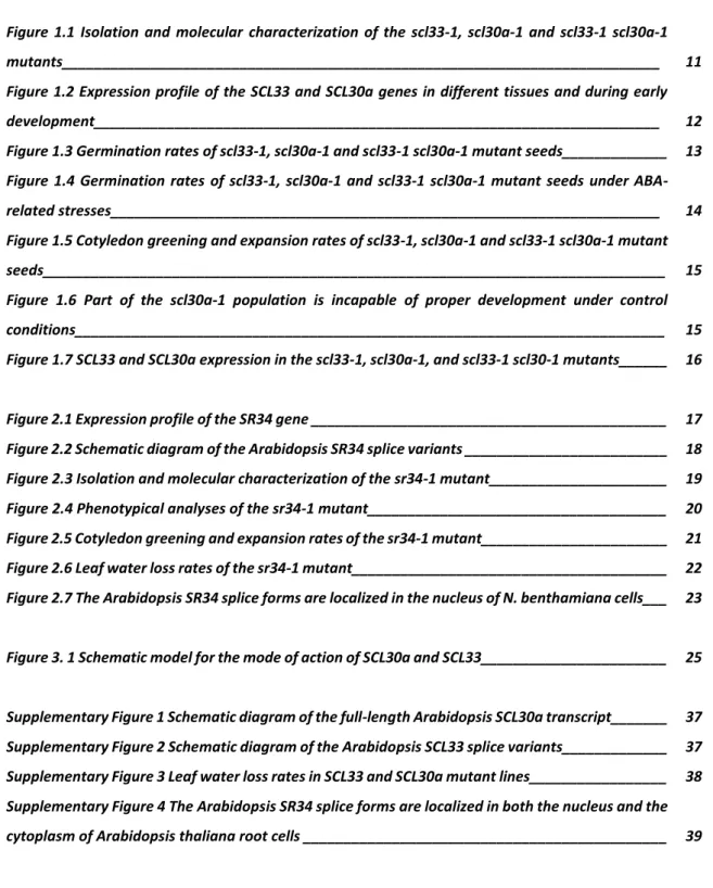 Figure  1.1  Isolation  and  molecular  characterization  of  the  scl33-1,  scl30a-1  and  scl33-1  scl30a-1  mutants__________________________________________________________________________  11  Figure 1.2 Expression profile  of the SCL33 and SCL30a gen