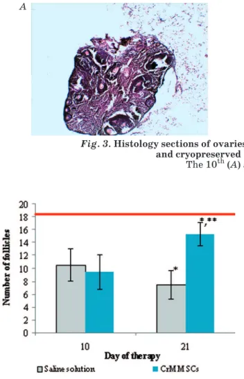 Fig. 4. Changes in  number of follicles in ovaries   of experimental animals: 