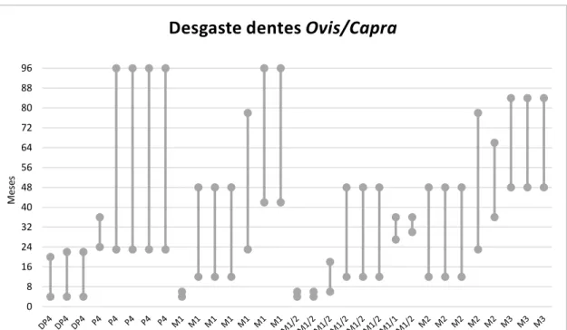 Figura 5 – Estimativa da idade de abate de Ovis/Capra, através das escalas de padrões de desgaste  definidas por Payne (1987) e a idade estimada por Deniz e Payne (1982)