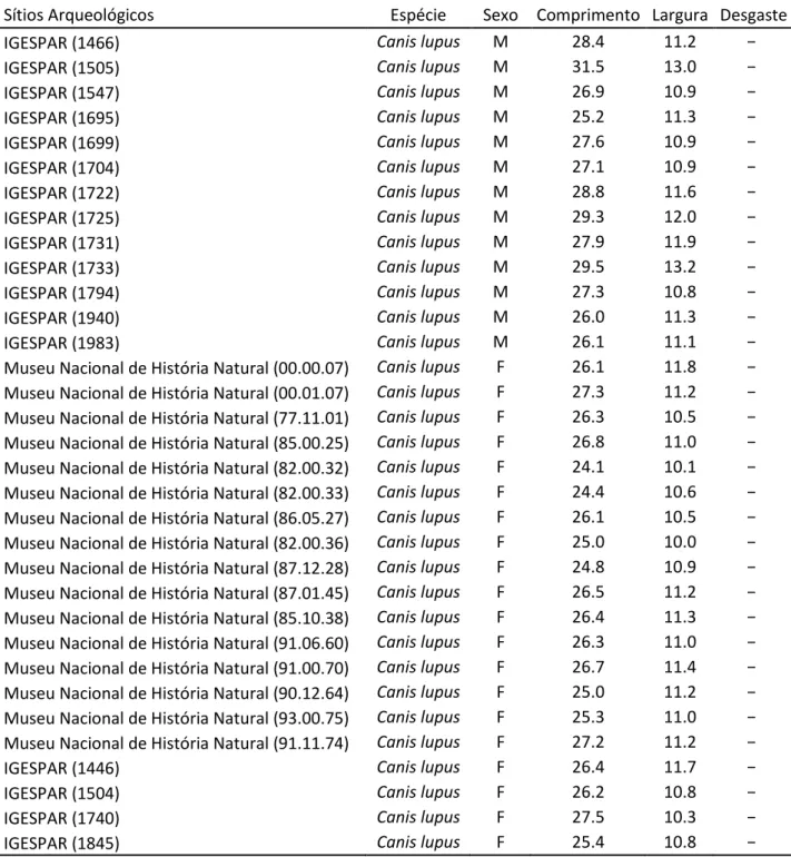 Tabela  6  -Medidas  de  M1  de  cães  e  lobos  provenientes  de  vários  sítios  arqueológicos  e  exemplares  de  referência para comparação com Alto de Brinches 3 (Detry &amp; Cardoso, 2010; Gonçalves, 2003a) (cont.)