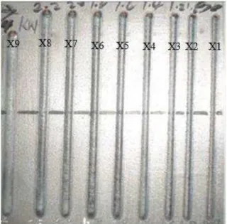 Fig. 5: The photograph of single track laser metal  deposited Ti6Al4V-B 4 C composites  