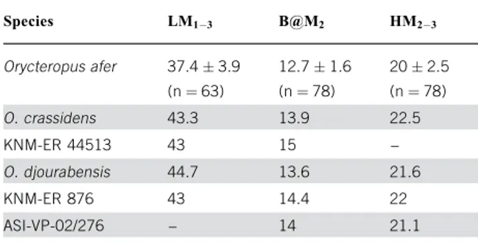 Table 2. Comparison of the dimensions (in mm) of the teeth of some Tubulidentata species