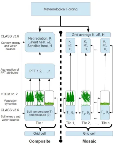 Fig. 1. Schematic representation of the composite and mosaic approaches for the coupling of CLASS v 3.6 and CTEM v 1.2 models in a stand-alone mode.