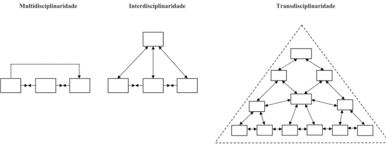 Figure 1. Relationship between disciplines.