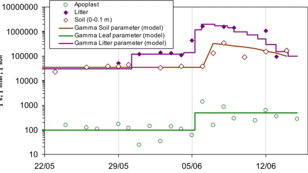Fig. 3. Evolution of the emission potential for the soil ( Γ soil ), the plant ( Γ s ) and the litter ( Γ litter ).
