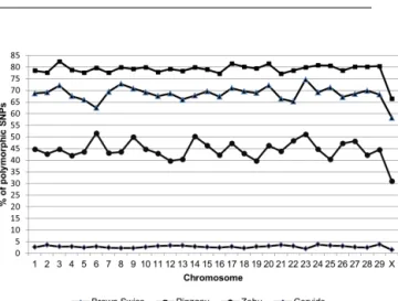 Figure 1. Proportion of polymorphic SNPs to the total number of SNPs for each chromosome on the BovineSNP50 BeadChip.