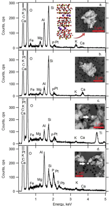 Figure 1. EDX spectra of representative illite NX particles. (a) Typ- Typ-ical illite, (b) calcite-rich mineral, (c) titanium-oxide-rich mineral, and (d) lead-rich mineral
