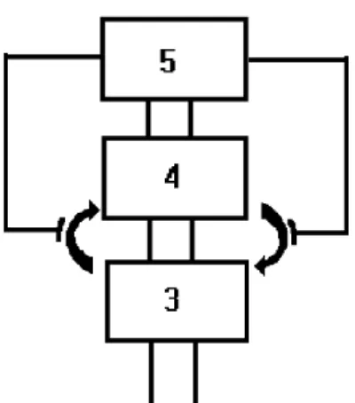Figure 9 – VSM Policy Decisions  (adapted from: 