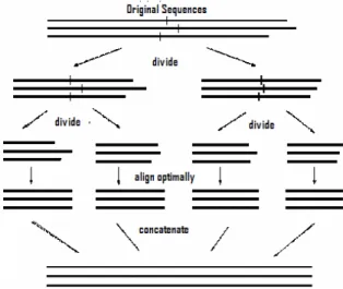 Fig. 1: General approach for Divide-and-Conquer algorithm 