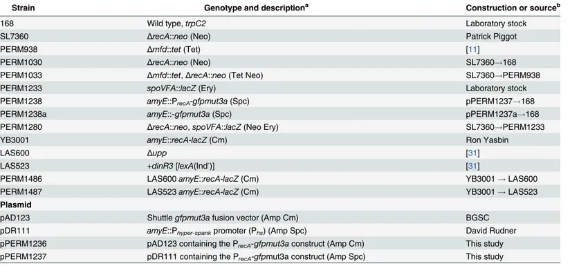 Table 1. B. subtilis strains and plasmids used in this study.