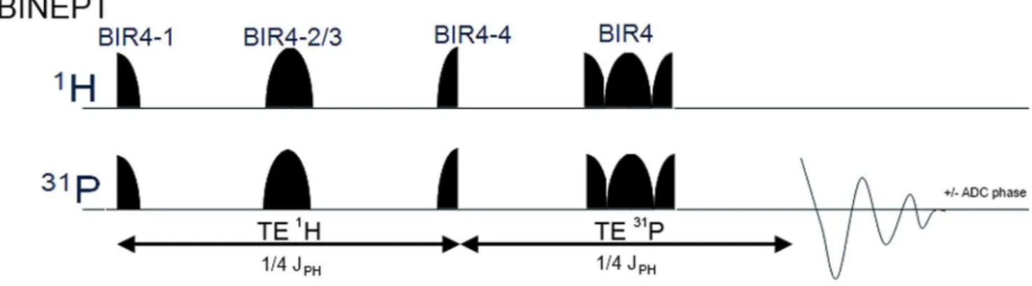 Figure 1. Schematic overview of the adiabatic version of the refocused insensitive nuclei enhanced by polarization transfer (BINEPT) sequence
