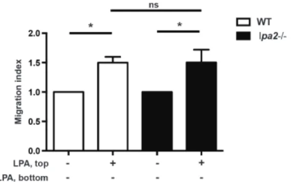 Figure 5. Lpa2-deficiency results in early defects in intranodal T cell migration. Naı¨ve mouse CD4+ T cells from wild-type C57BL/6 mice and lpa2 2 / 2 mice were labeled with CFSE and CMTMR, respectively