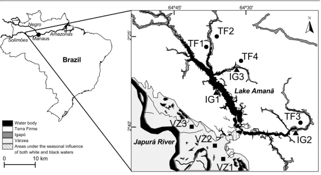 Figure 2.1 Study area and location of sampling stations (TF – terra firme, VZ – várzea, IG – igapó)