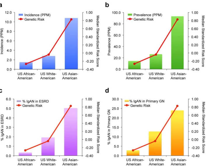Figure 6. Genetic risk and IgAN–attributable ESRD among major US ethnicities. The relationship between IgAN risk scores (red line) and IgAN incidence and prevalence (bars) among US ethnicities are shown