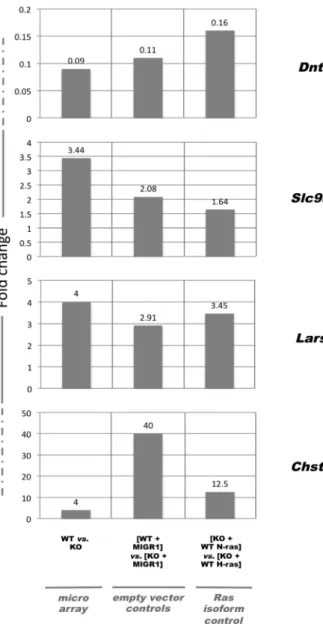 Figure 4. Four of the candidate genes from the second set of microarray experiments exhibited similar patterns of  expres-sion in the microarray, in the empty vector controls, and in the Ras isoform transduction validations