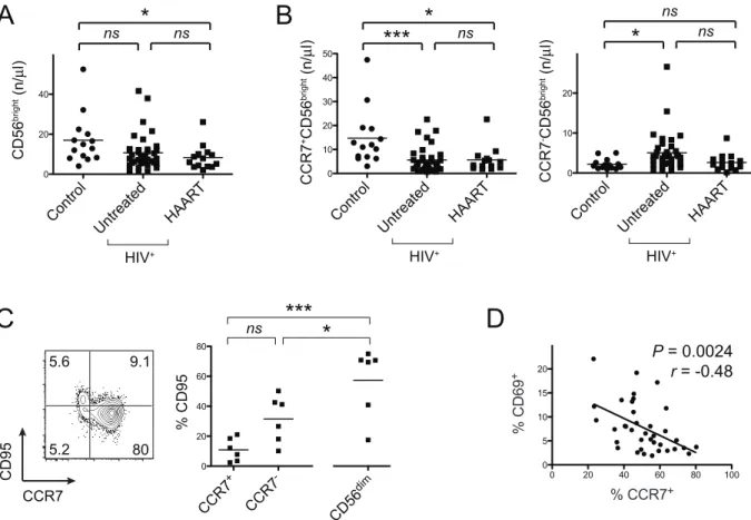 Figure 2. Relative and absolute loss of CCR7 + CD56 bright NK cells is not attributable to apoptosis