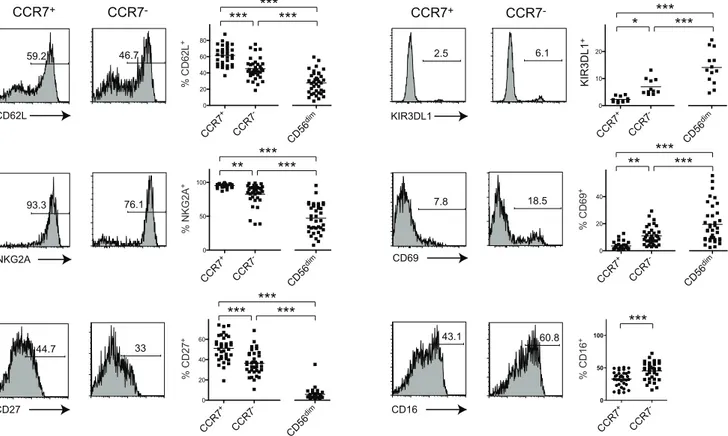 Figure 3. CCR7 2 CD56 bright NK cells exhibit phenotypic features of CD56 dim CD16 + cells