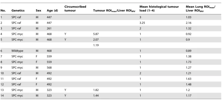 Figure 1. Segmentation of aerated lung volume as a surrogate to assess the multifocal tumor spread in SPC-raf transgenic animals.