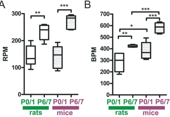 Figure 2. Developmental changes in respiratory and heart rate during the first postnatal week