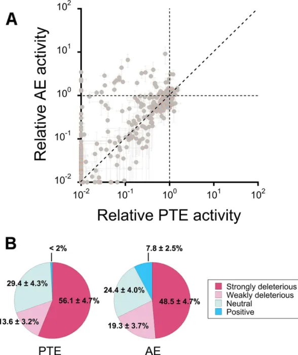 Fig 5. Functional analysis of a random mutant library. (A) Changes in phosphotriesterase (native; PTE) and arylesterase (promiscuous; AE) activities among variants from a trinucleotide substitution library