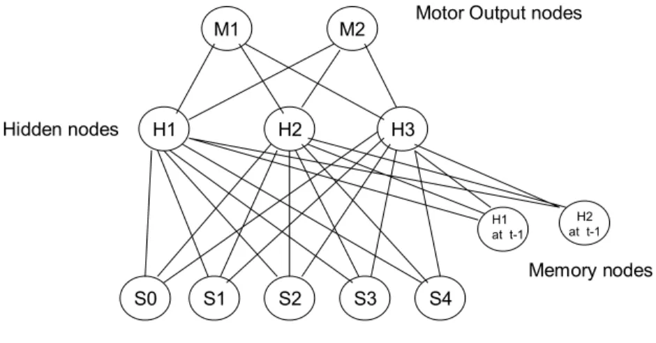 Figure 6: Example of agent that has evolved 4 additional sensory nodes, 3 hidden  nodes and 2 associated memory nodes.