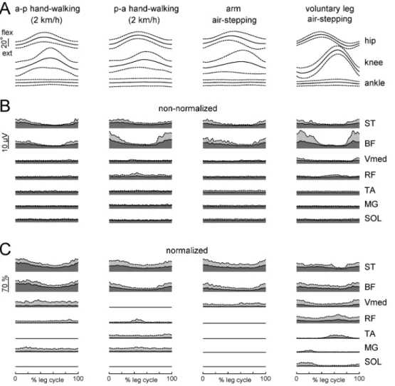 Figure 7 illustrates kinematics and EMGs in one representative participant performing hand-walking in the a-p direction at 2 km/
