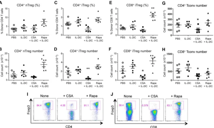 Figure 2. CsA suppresses while Rapa promotes pre-existing donor-derived Treg expansion and iTreg generation during GVHD.
