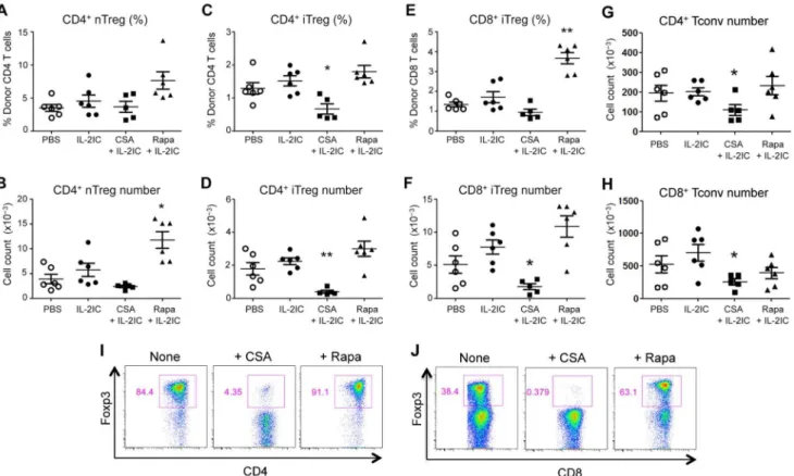 Figure 2. CsA suppresses while Rapa promotes pre-existing donor-derived Treg expansion and iTreg generation during GVHD.