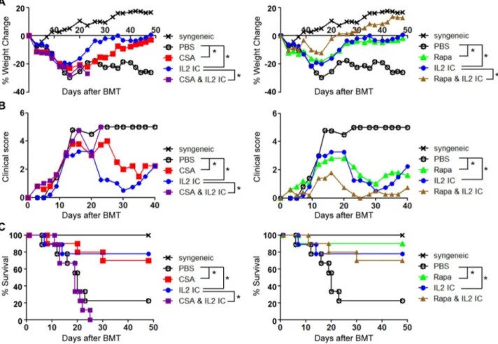 Figure 6. CsA abolishes while Rapa promotes the beneficial effect of IL-2 ICs in protection against acute GVHD