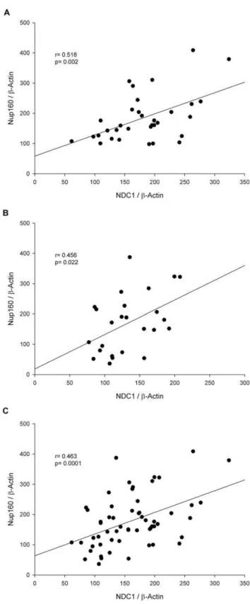 Table 2. Results of the expression of nuclear proteins in HF patients and controls.