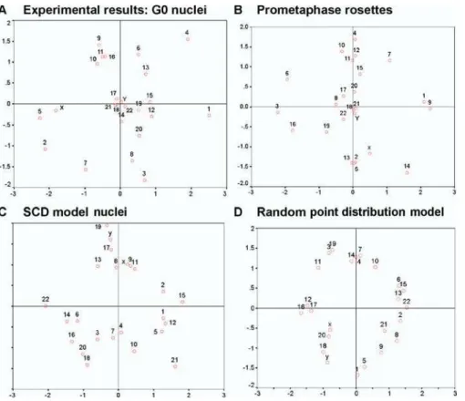 Figure 3 displays the positive correlation obtained in quiescent human ﬁbroblasts for the mean normalized radial CN–CT distances and the DNA content of the chromosomes.