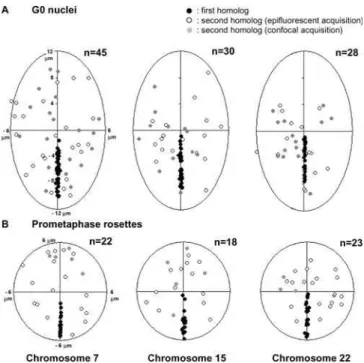 Table 1. Comparison of Mean 3D CT–CT Distances and Mean 3D CT–CN–CT Angles between Groups of Large (HSAs 1–5) and Small (HSAs 13–22) Chromosomes