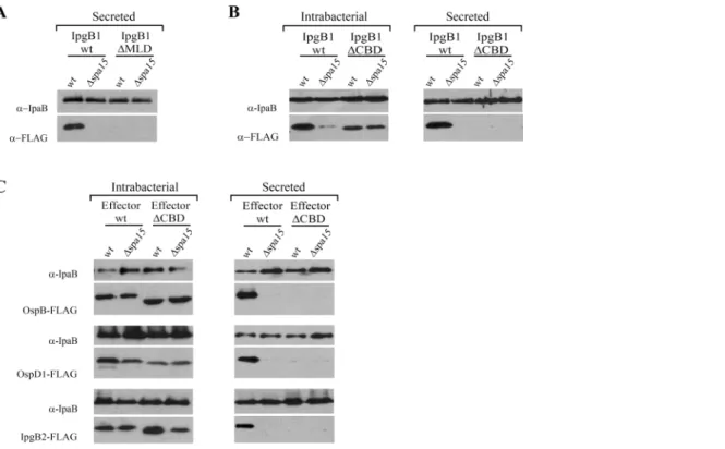 Table S1 List of oligonucleotides used to generate fragments via PCR for cloning into Gateway entry vectors.