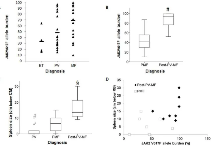 Fig 3. JAK2 V617F allele burden differs in the indicated entities. (A) Analysis of the JAK2 allele burden of JAK2 V617F positive MPN samples: ET n = 4, PV n = 17, MF n = 16