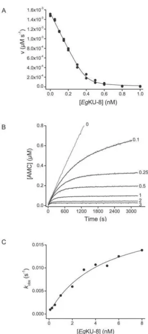 Figure 4. Inhibition studies with Eg KU-8: results for canine anionic trypsin. (A) Inhibition of canine anionic trypsin