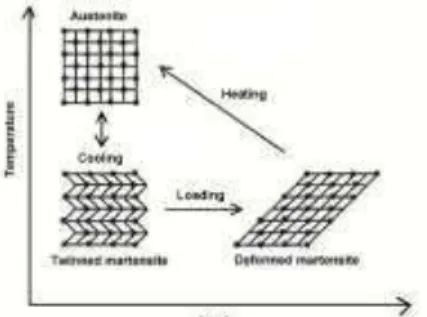 Fig 1. GeneralTemperature vs strain diagram of  shape memory alloy 