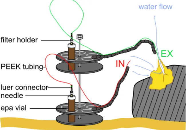 Figure 1. VacuSIP system for in situ sampling of DOC and bacteria. VacuSIP system consisting of two separate samplers (In and Ex) attached to a stand to simultaneously take water samples of the ambient water (IN) and the water exhaled by the sponge (EX)