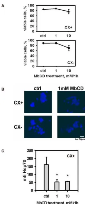 Figure 2. Hsp70 is associated with detergent resistant micro- micro-domains (DRMs). (A) Definition of the sublethal concentration of the raft disrupting agent methyl-beta cyclodextrin (MbCD)