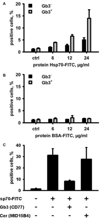 Figure 6. Hsp70 predominantly interacts with artificial raft liposomes containing Gb3