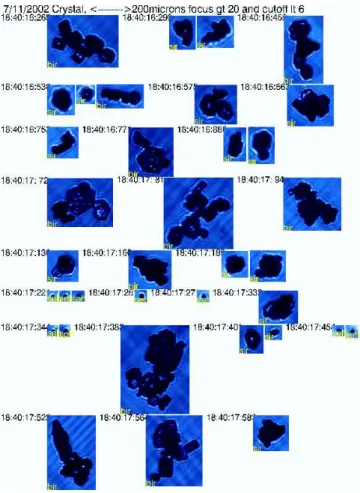 Fig. 9. Typical CPI images taken in the 11 July case on the WB-57.